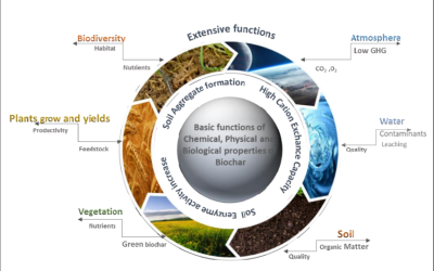 Vega Biofuels to Showcase “The Benefits of Biochar”  At Investor Conference