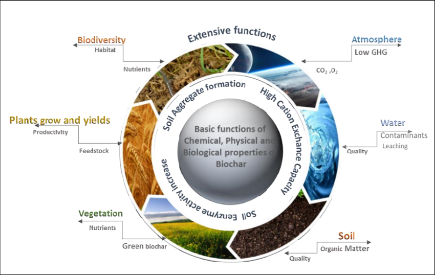 Vega Biofuels to Showcase “The Benefits of Biochar”  At Investor Conference