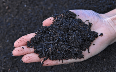 Vega Biofuels To Increase Production of Biochar