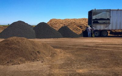 Vega Biofuels to Add Biochar Powder to its Products to Be Sold on Amazon